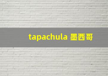 tapachula 墨西哥